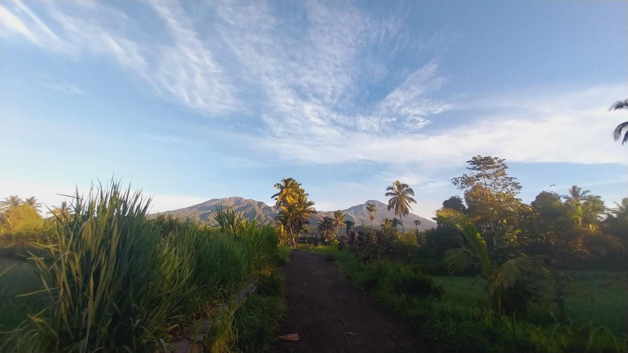 Raturinjani Homestay Selong Pokoj fotografie