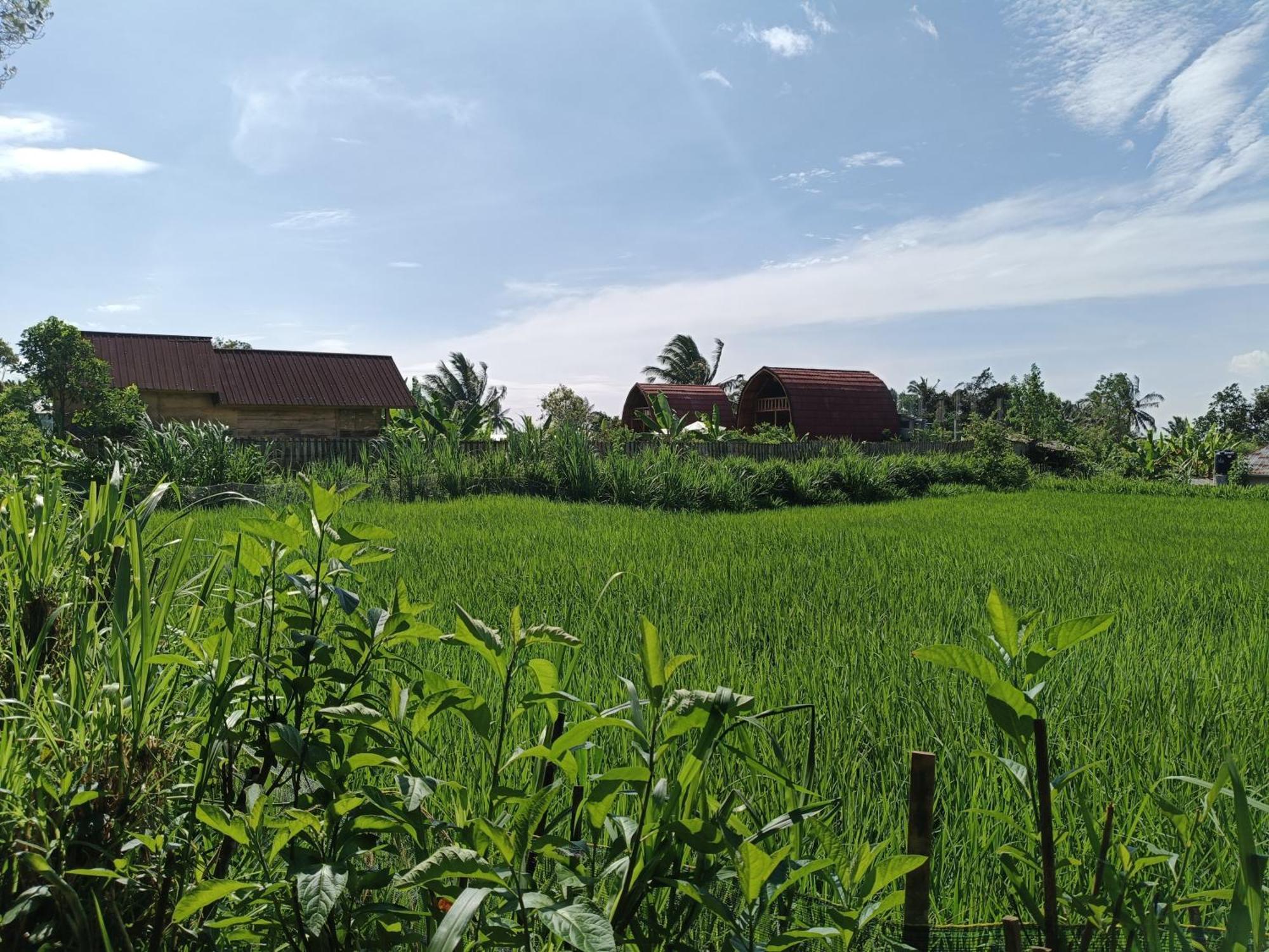 Raturinjani Homestay Selong Pokoj fotografie